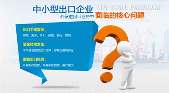 外貿(mào)進(jìn)出口代理 企業(yè)全球化的專業(yè)橋梁與戰(zhàn)略伙伴