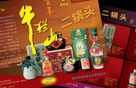 網(wǎng)端品牌設(shè)計(jì) 南京產(chǎn)品包裝設(shè)計(jì)與廣告設(shè)計(jì)的專業(yè)之道